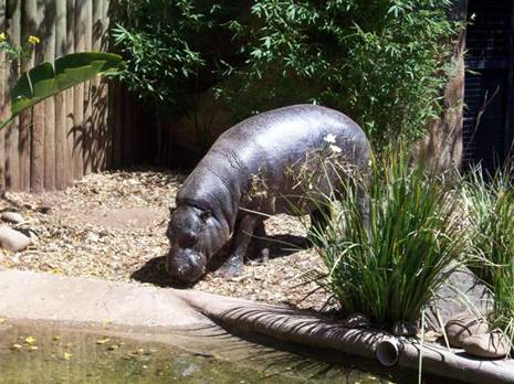 C:\Documents and Settings\Genie\My Documents\My Pictures\Misc Australia\Misc Australia 002.jpg