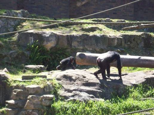 C:\Documents and Settings\Genie\My Documents\My Pictures\Misc Australia\Misc Australia 006.jpg