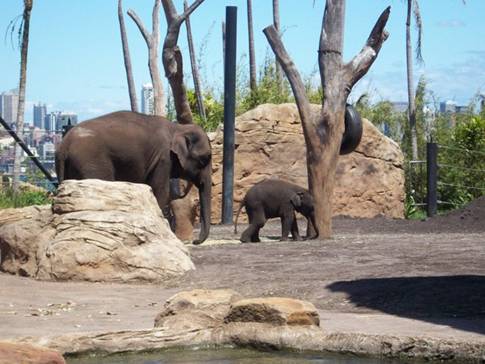 C:\Documents and Settings\Genie\My Documents\My Pictures\Misc Australia\Misc Australia 017.jpg