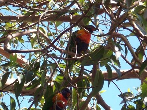 C:\Documents and Settings\Genie\My Documents\My Pictures\Misc Australia\Misc Australia 023.jpg