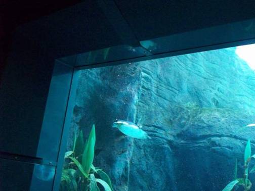 C:\Documents and Settings\Genie\My Documents\My Pictures\Misc Australia\Misc Australia 024.jpg