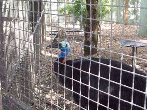 C:\Documents and Settings\Genie\My Documents\My Pictures\Blue Mountains\Bird 2.jpg