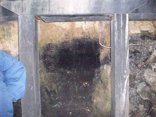 C:\Documents and Settings\Genie\My Documents\My Pictures\Blue Mountains\Picture 275.jpg