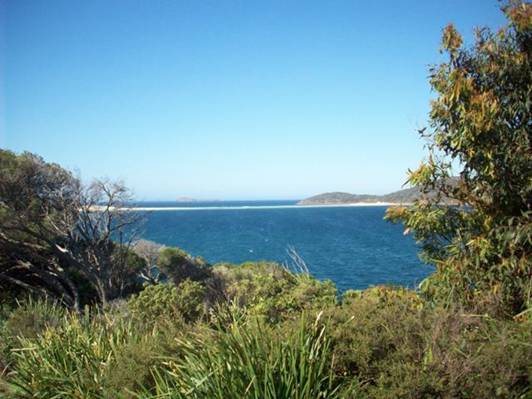 C:\Documents and Settings\Genie\My Documents\My Pictures\Misc Australia\Misc Australia 055.jpg