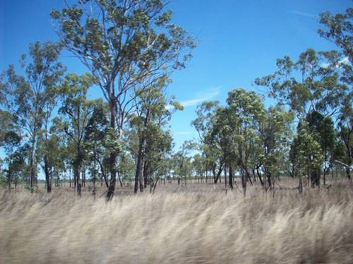 C:\Documents and Settings\Genie\My Documents\My Pictures\Misc Australia\Misc Australia 075.jpg