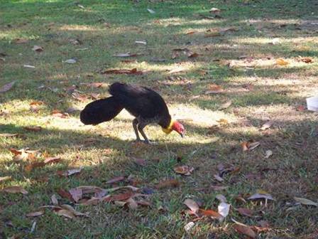 C:\Documents and Settings\Genie\My Documents\My Pictures\Misc Australia Whitsunday\Misc Australia Whitsunday 027.jpg