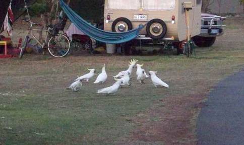 C:\Documents and Settings\Genie\My Documents\My Pictures\Misc Australia Whitsunday\Misc Australia Whitsunday 041.jpg