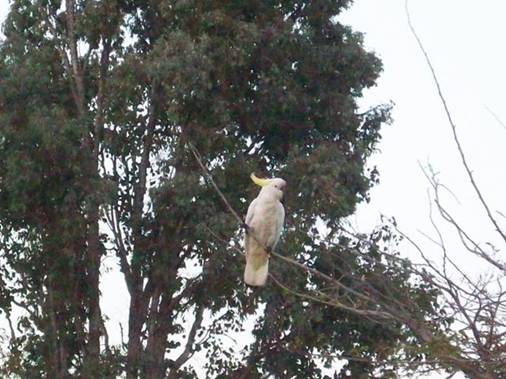 C:\Documents and Settings\Genie\My Documents\My Pictures\Misc Australia Whitsunday\Misc Australia Whitsunday 043.jpg