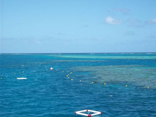 C:\Documents and Settings\Genie\My Documents\My Pictures\Misc Australia Whitsunday\Misc Australia Whitsunday 045.jpg