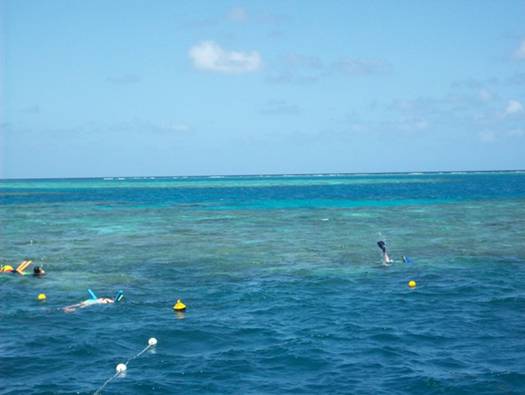 C:\Documents and Settings\Genie\My Documents\My Pictures\Misc Australia Whitsunday\Misc Australia Whitsunday 046.jpg