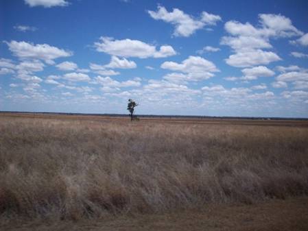 C:\Documents and Settings\Genie\My Documents\My Pictures\Misc Australia Whitsunday\Misc Australia Whitsunday 084.jpg