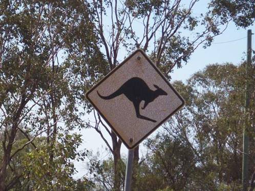 C:\Documents and Settings\Genie\My Documents\My Pictures\Misc Australia Whitsunday\Misc Australia Whitsunday 107.jpg