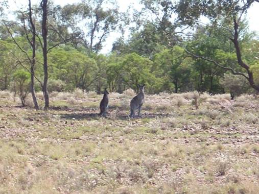 C:\Documents and Settings\Genie\My Documents\My Pictures\Misc Australia Whitsunday\Misc Australia Whitsunday 108.jpg