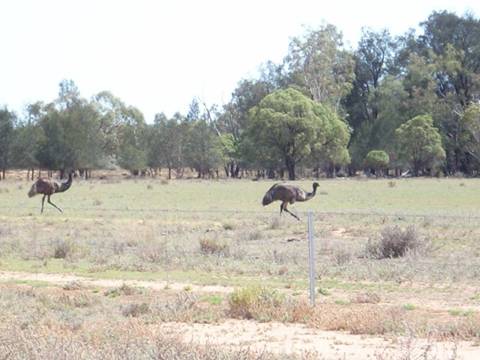 C:\Documents and Settings\Genie\My Documents\My Pictures\Misc Australia Whitsunday\Misc Australia Whitsunday 114.jpg