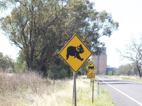 C:\Documents and Settings\PC Owner\My Documents\My Pictures\Auckland\Auckland 001.jpg