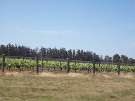 C:\Documents and Settings\PC Owner\My Documents\My Pictures\Auckland\Auckland 003.jpg