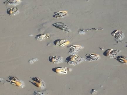 C:\Users\Public\Pictures\Kodak Pictures\April 2010\100_2087.jpg