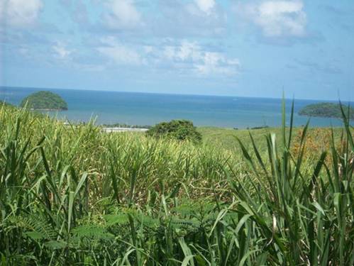 C:\Users\Public\Pictures\Kodak Pictures\April 2010\100_2124.jpg