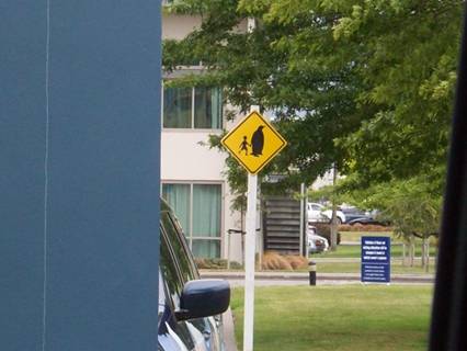 C:\Users\Public\Pictures\Kodak Pictures\2010-01-09\100_1942.jpg