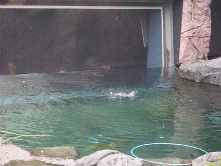 C:\Users\Public\Pictures\Kodak Pictures\2010-01-09\100_1937.jpg