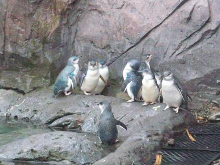 C:\Users\Public\Pictures\Kodak Pictures\2010-01-09\100_1938.jpg