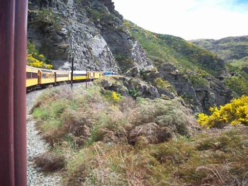 C:\Documents and Settings\Genie\My Documents\My Pictures\Dunedin\Dunedin 112.jpg