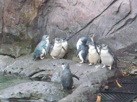 C:\Users\Public\Pictures\Kodak Pictures\2010-01-09\100_1938.jpg