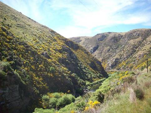 C:\Documents and Settings\Genie\My Documents\My Pictures\Dunedin\Dunedin 094.jpg