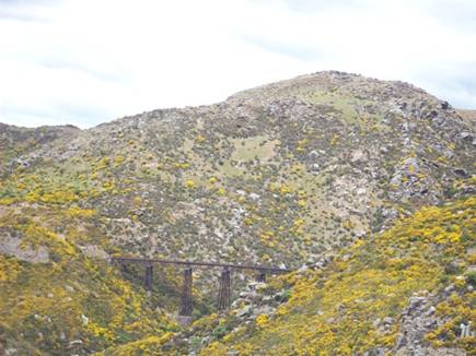 C:\Documents and Settings\Genie\My Documents\My Pictures\Dunedin\Dunedin 125.jpg