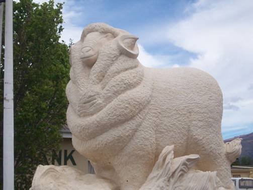 C:\Documents and Settings\Genie\My Documents\My Pictures\Dunedin\Dunedin 121.jpg