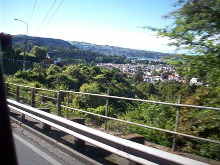 C:\Documents and Settings\Genie\My Documents\My Pictures\Dunedin\Dunedin 137.jpg