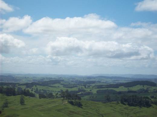 C:\Documents and Settings\PC Owner\My Documents\My Pictures\Auckland\Auckland 042.jpg