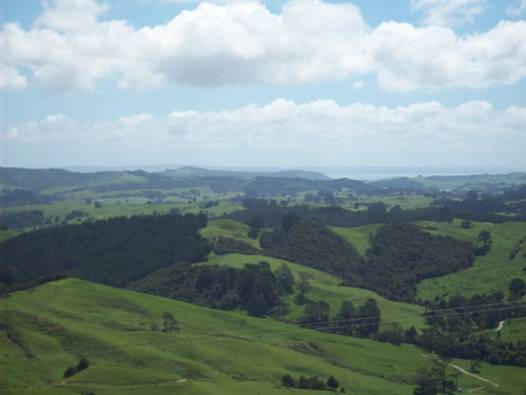 C:\Documents and Settings\PC Owner\My Documents\My Pictures\Auckland\Auckland 043.jpg