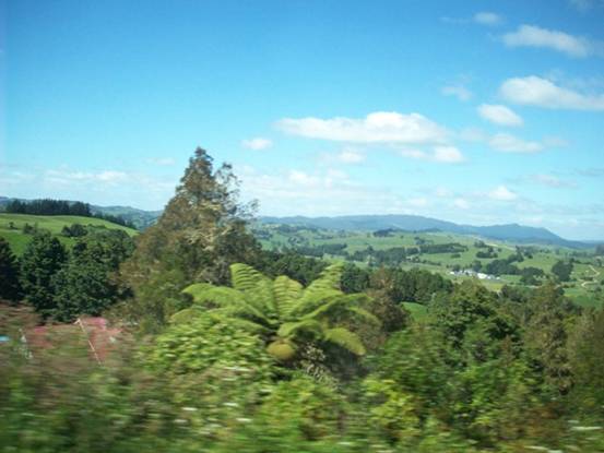 C:\Documents and Settings\PC Owner\My Documents\My Pictures\Auckland\Auckland 048.jpg