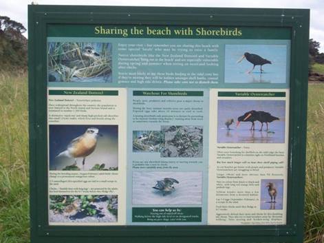 C:\Documents and Settings\Genie\My Documents\My Pictures\north island\north island 017.jpg