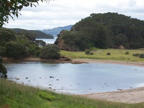 C:\Documents and Settings\Genie\My Documents\My Pictures\north island\north island 020.jpg