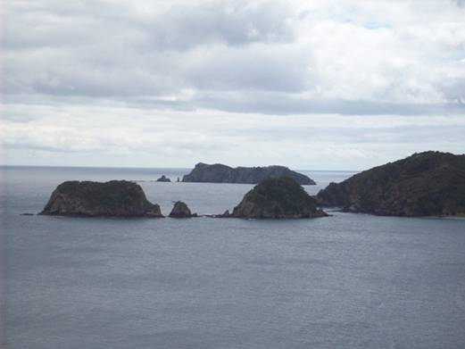 C:\Documents and Settings\Genie\My Documents\My Pictures\north island\north island 025.jpg