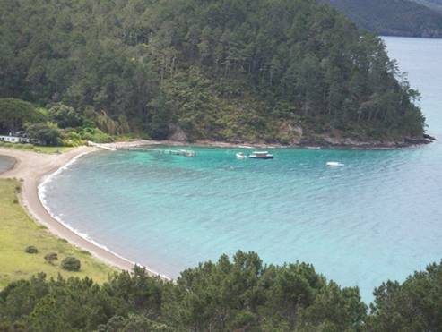 C:\Documents and Settings\Genie\My Documents\My Pictures\north island\north island 030.jpg