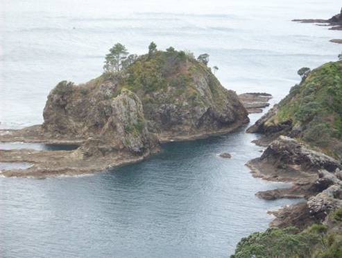 C:\Documents and Settings\Genie\My Documents\My Pictures\north island\north island 024.jpg