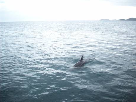 C:\Documents and Settings\PC Owner\My Documents\My Pictures\Auckland\Auckland 053.jpg