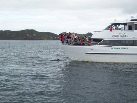 C:\Documents and Settings\PC Owner\My Documents\My Pictures\Auckland\Auckland 058.jpg