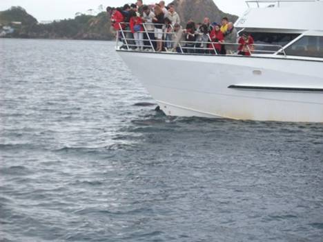 C:\Documents and Settings\PC Owner\My Documents\My Pictures\Auckland\Auckland 059.jpg