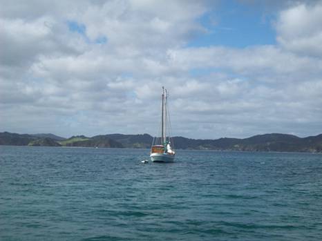 C:\Documents and Settings\PC Owner\My Documents\My Pictures\Auckland\Auckland 071.jpg