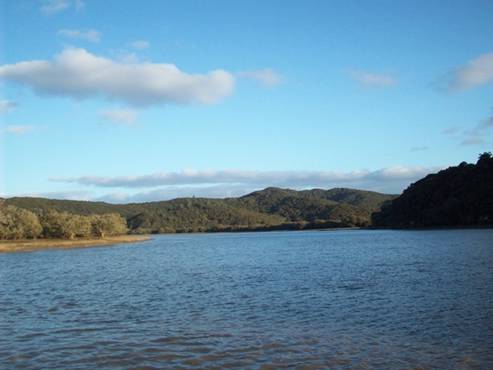 C:\Documents and Settings\Genie\My Documents\My Pictures\north island\north island 009.jpg