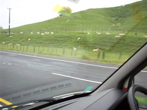 C:\Documents and Settings\Genie\My Documents\My Pictures\north island\north island 046.jpg