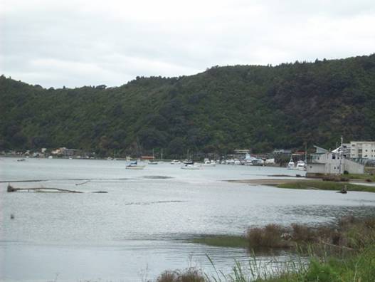 C:\Documents and Settings\Genie\My Documents\My Pictures\north island\north island 059.jpg