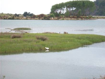 C:\Documents and Settings\Genie\My Documents\My Pictures\north island\north island 060.jpg