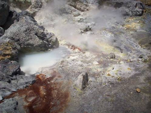 C:\Documents and Settings\Genie\My Documents\My Pictures\north island\north island 134.jpg