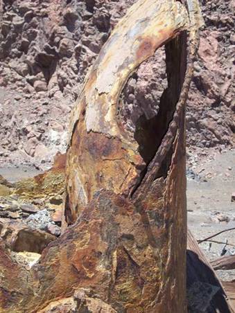 C:\Documents and Settings\Genie\My Documents\My Pictures\north island\north island 136.jpg