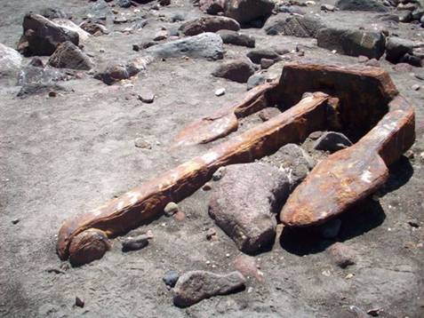 C:\Documents and Settings\Genie\My Documents\My Pictures\north island\north island 144.jpg